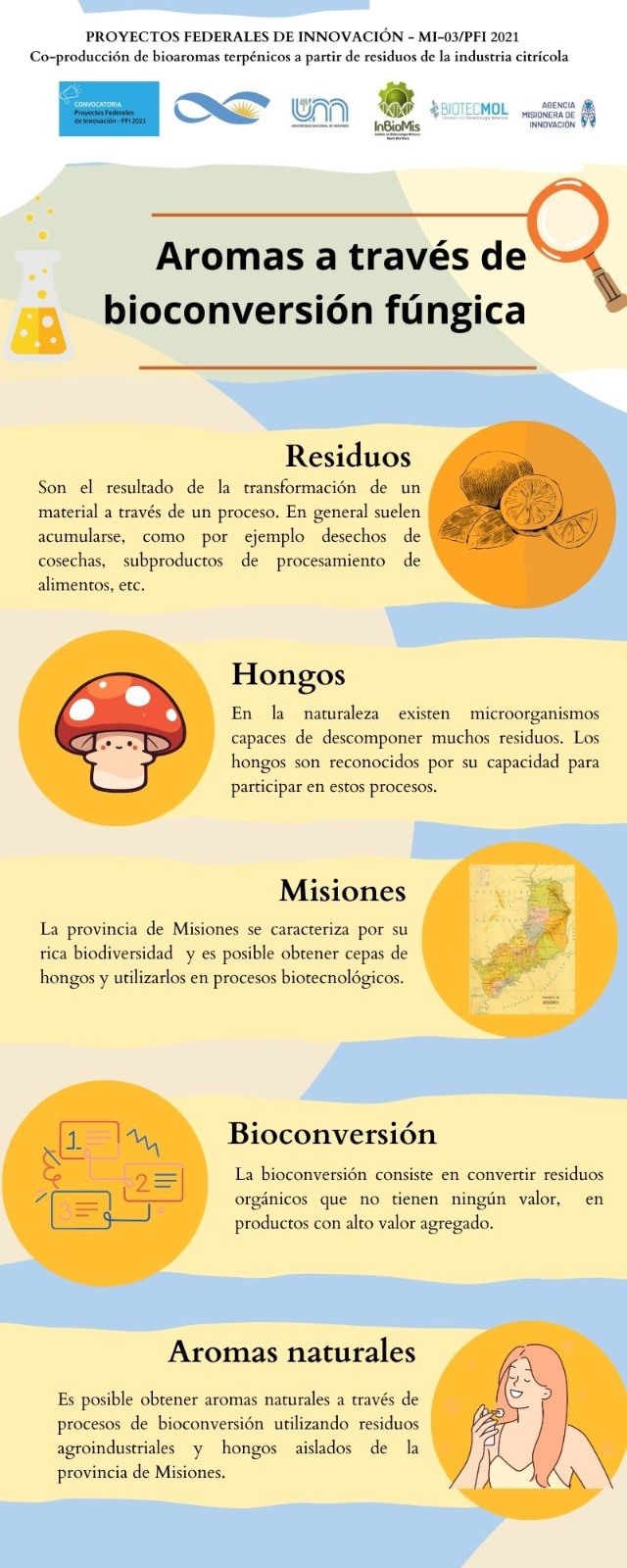 Hongos Comestibles