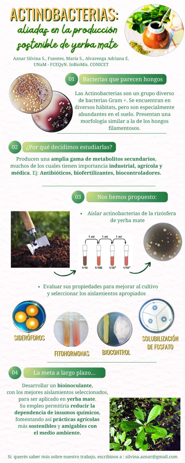 Hongos Comestibles