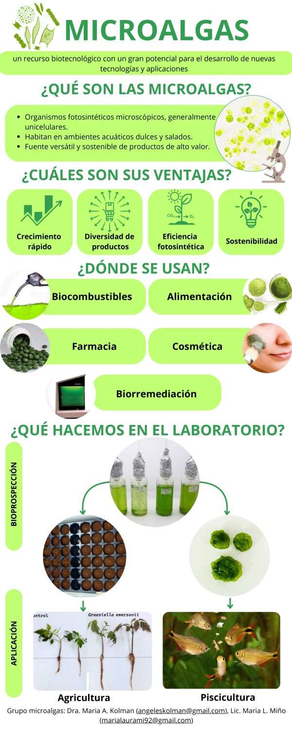Hongos Comestibles