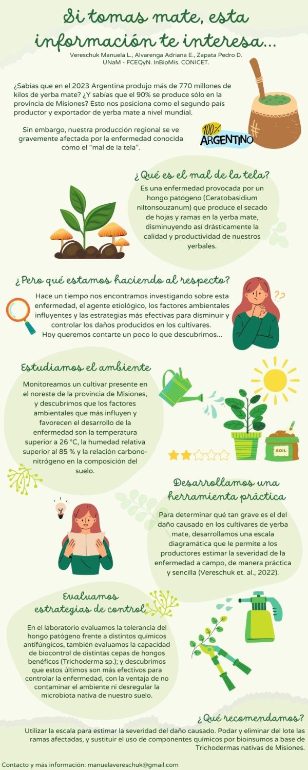 Hongos Comestibles