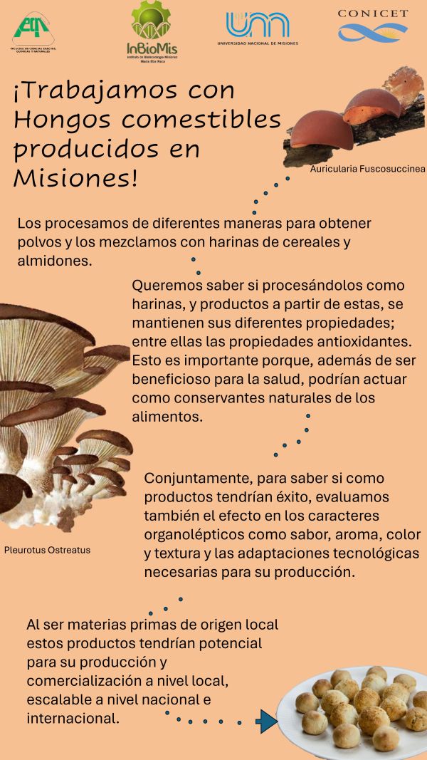 Hongos Comestibles
