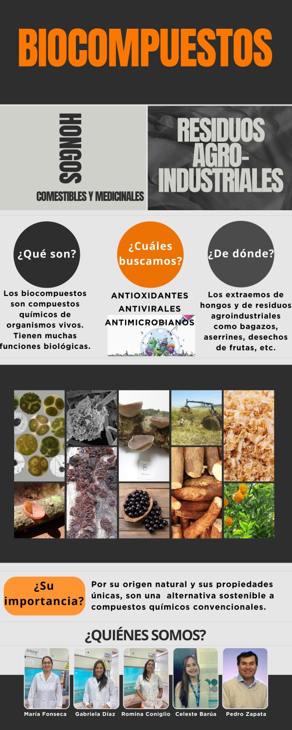 Hongos Comestibles